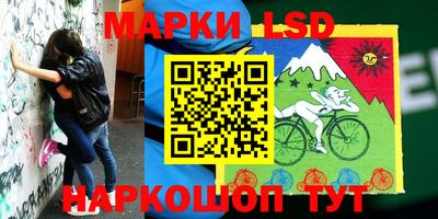 ешки Гатчина