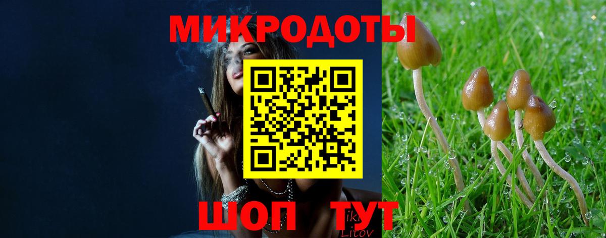 Галлюциногенные грибы прущие грибы Чусовой